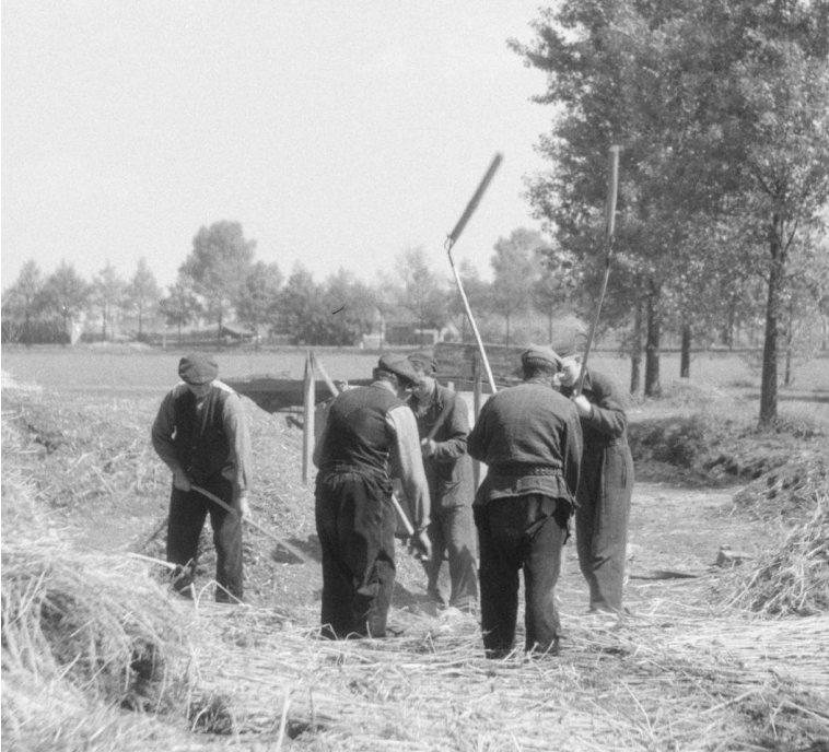 Onderwerp afbeelding